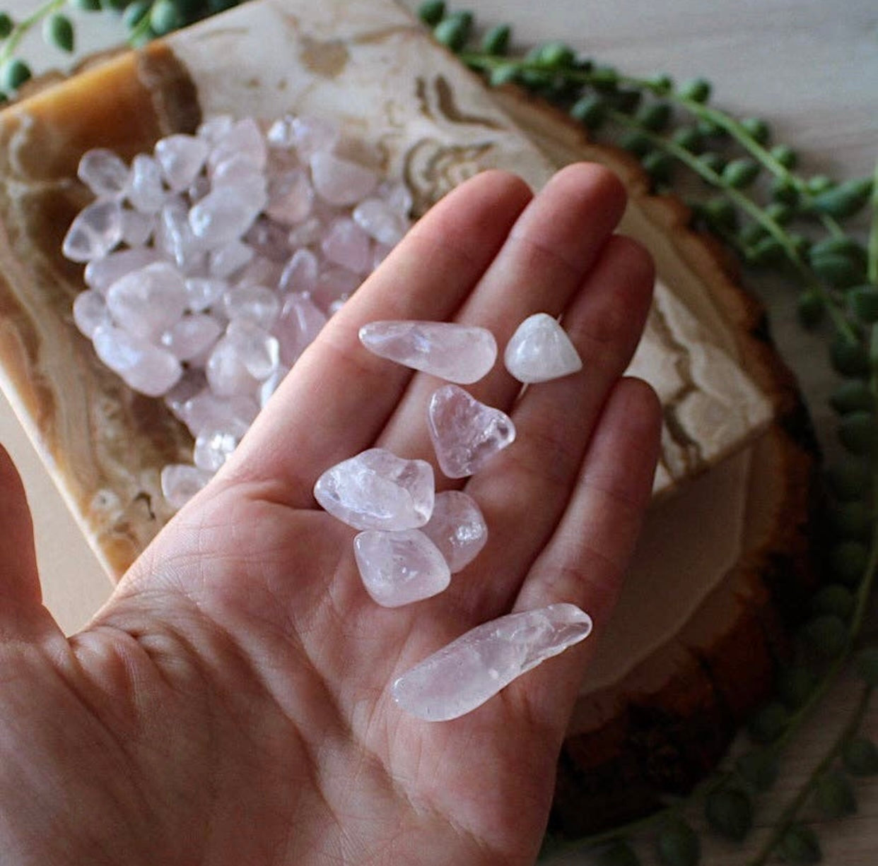 Rose Quartz Tumbled Chips (4oz bag)